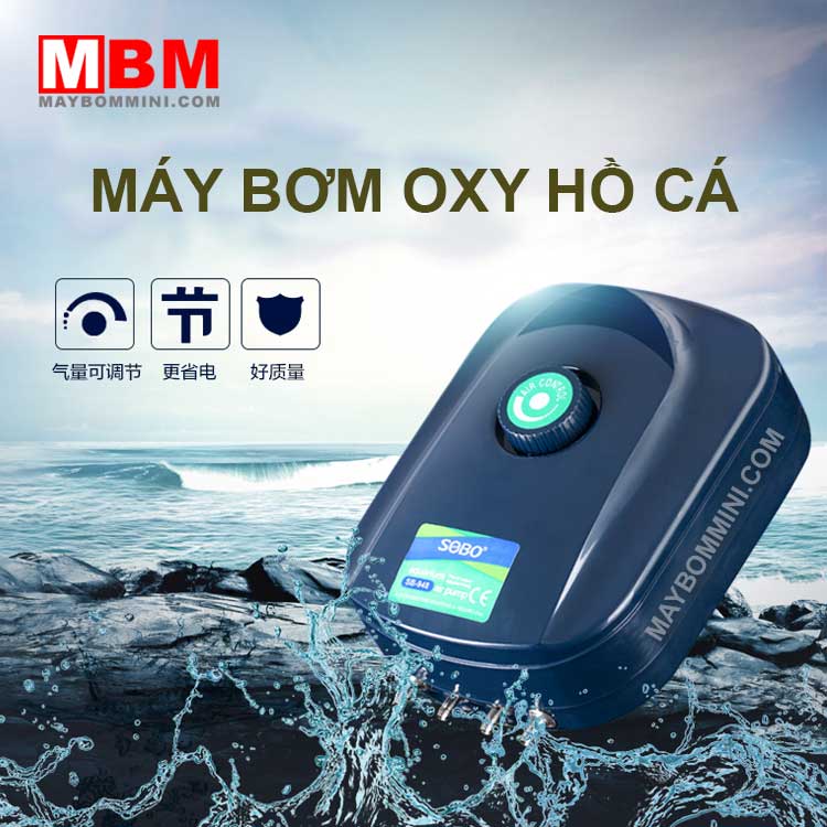 May Oxy Ho Ca Hon Non Bo