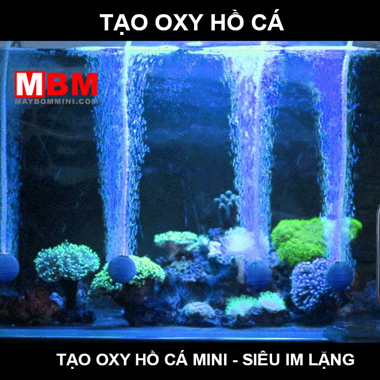 May Tao Oxy Ho Ca Canh