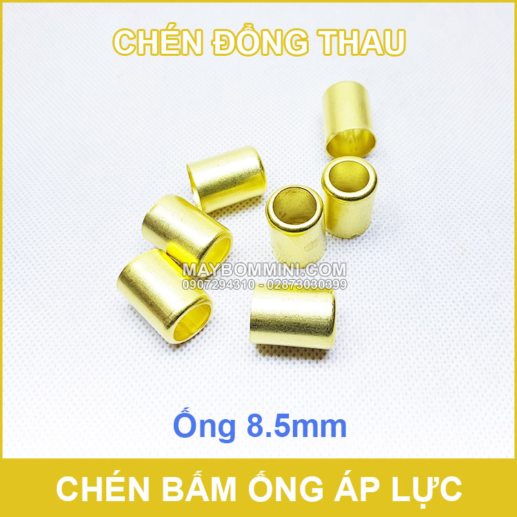 Chen Bam Cost Dong Thao