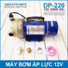 May Bom Ap Luc 12V 220W 20L Smartpumps