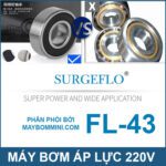 May Bom Ap Luc Tu Dong 220V 17L FL 43