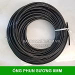 Ban Ong Phun Suong.jpg