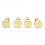 Bec Phun Thuoc Sau Tuoi Cay Dieu Chinh