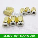 De Gan Bec Cuoi Phun Suong.jpg