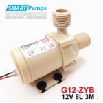 May Bom Nuoc Mini 12V G12 ZYB