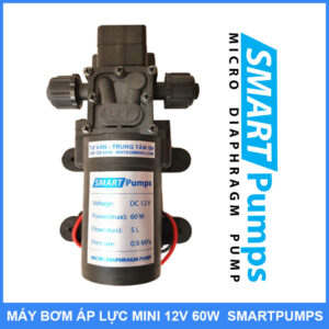 May Bom Nuoc Mini 12v 60w Smartpumps
