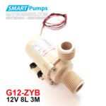 May Bom Nuoc Nong Mini 12v