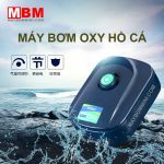 May Oxy Ho Ca Hon Non Bo.jpg