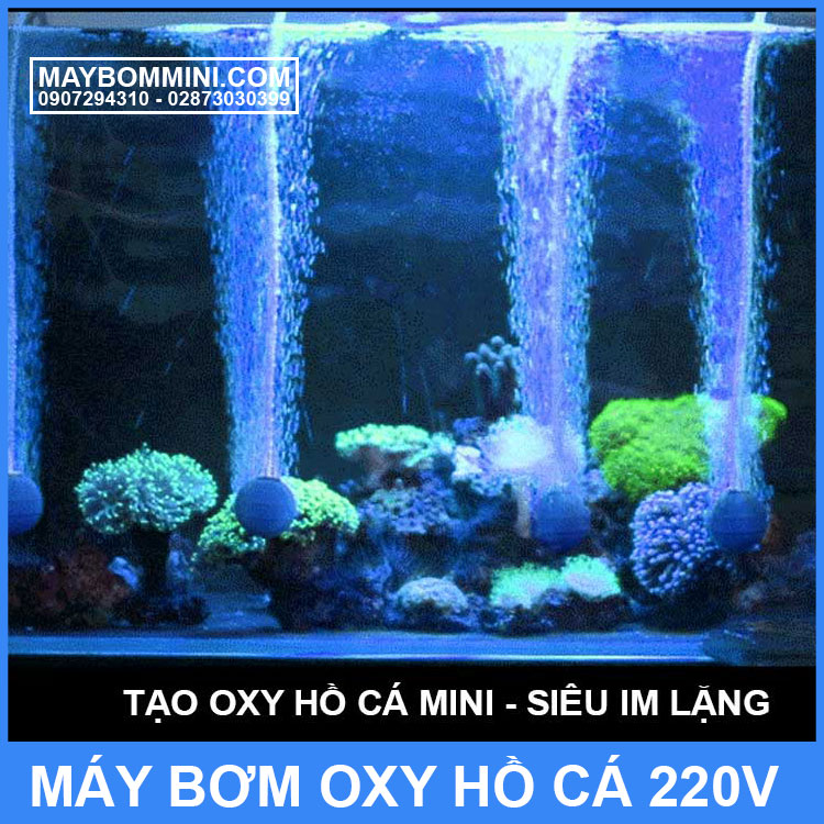 Tao Oxy Ho Ca Mini
