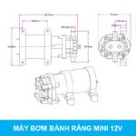 Thong So May Bom Banh Rang 550