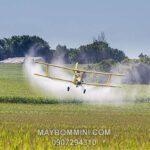 May Bom Va Bec Phun Thuoc Tru Sau