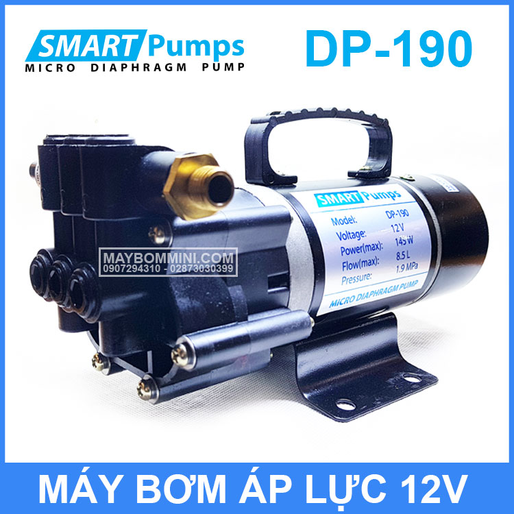 May Bom Smartpumps DP190