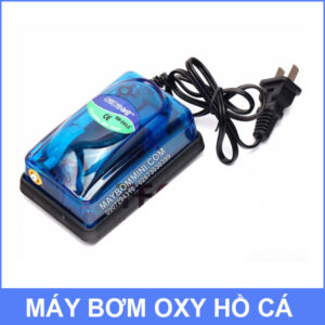 Bom Oxy 220v