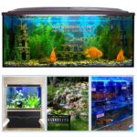 May Bom Nuoc Ho Be Ca Trong Nha Cao Cap