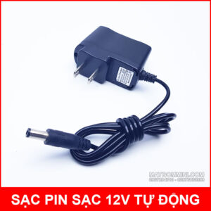 Sac Pin 12v Tu Dong Thong Minh