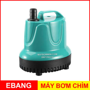May Bom Chim Ebang 220v Chinh Hang