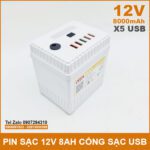 Box Pin Dung Phong 12V 8000mah Cao Cap