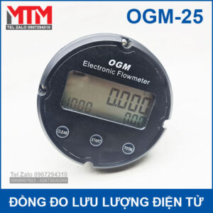 Electronic Flowmeter OGM 25
