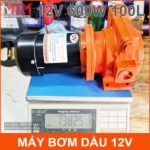 Bom Dau Cao Cap Luu Luong Lon 12v 600w Can Nang