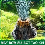 Dau Sui Bot Khi Ho Ca 220V 20W 30L Auto AC DC Resun