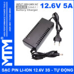 Gia Ban Sac Pin Li Ion 12V6 3S 5A Co Quat Charger 12V Lithium Iron Phosphate Battery